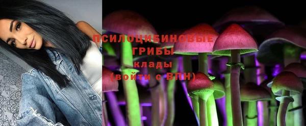 apvp Абинск