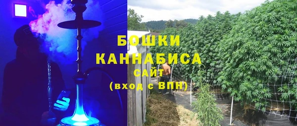 прущие грибы Абдулино